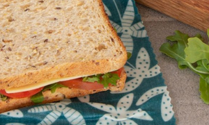 Low-Waste Back-to-School Lunch Ideas