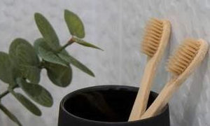 Your Bamboo Toothbrush Questions Answered