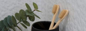 Your Bamboo Toothbrush Questions Answered