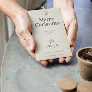 Photo of Seed pack being held in hands with Merry Christmas on the front.