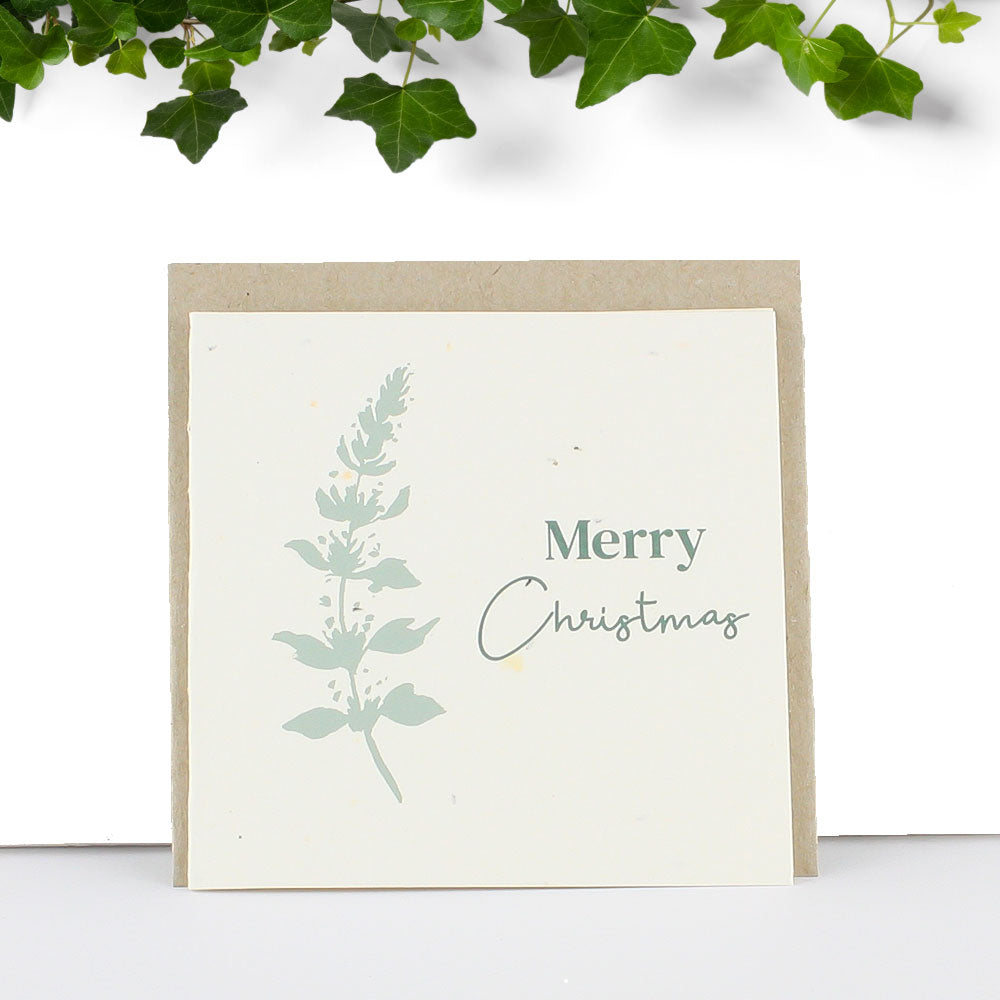 Christmas Seed Card - 4 pack | Gift Card | Reuze It | Eco Store | Eco Friendly Products